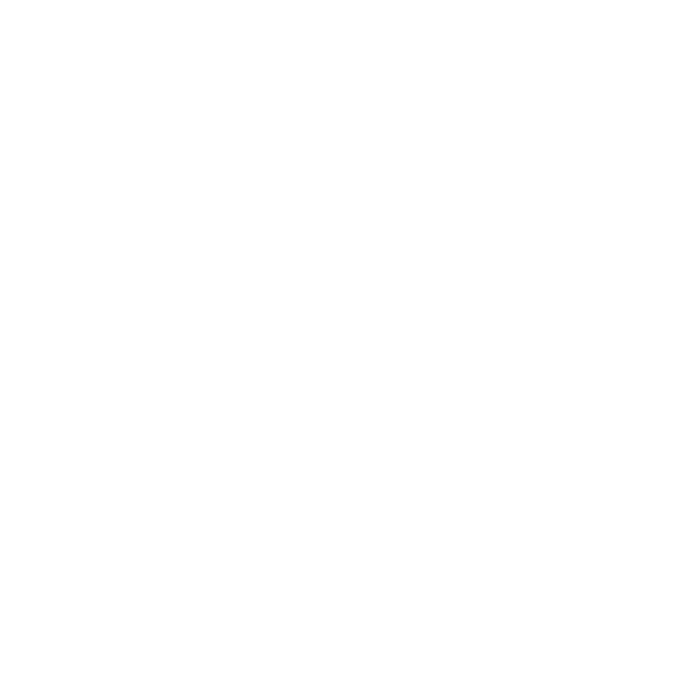 Bko Conneqt2025 Silversponsor1 logo